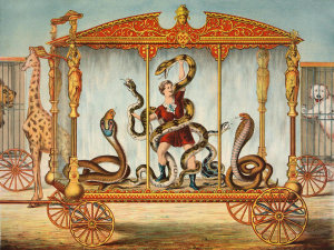 Gibson & Co. - Circus Scenes: The Snake Wagon, ca. 1891