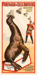 Strobridge Litho. Co. - Adam Forepaugh and Sells Brothers Circus: Performing Sea Lions, ca. 1900