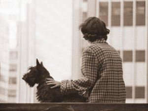 Angelo Rizzuto - Woman sitting with Terrier, New York City, 1961