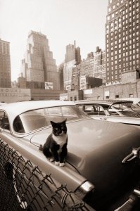 Angelo Rizzuto - The parking attendant, New York City, 1958