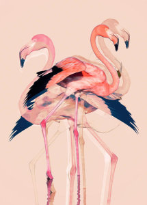 Baard Martinussen - Flamingos nr. 3