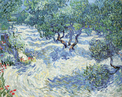 Vincent Van Gogh - Olive Orchard