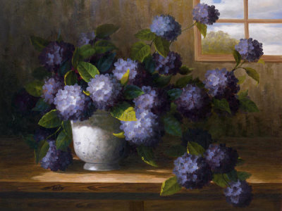 Welby - Hydrangea Blossoms II