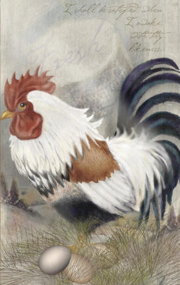 Alma Lee - Coat Of Many Colors Rooster