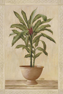 Welby - Potted Palm I