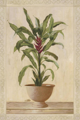 Welby - Potted Palm II