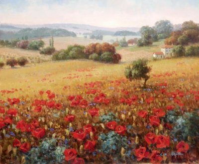 Seung Koo Ahn - Italian Poppy Vista II