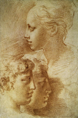 Parmigianino - Three Profiles