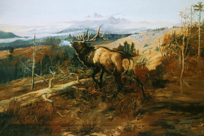 Charles M. Russell - The Elk