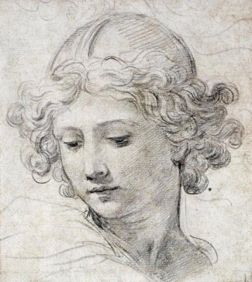 Pietro Berrettini - The Head of An Angel