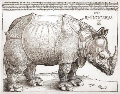 The Rhinoceros