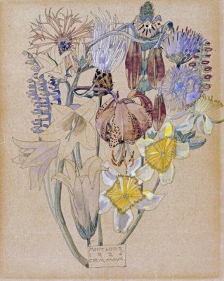 Charles Rennie Mackintosh - Mont Louis - Flower Study