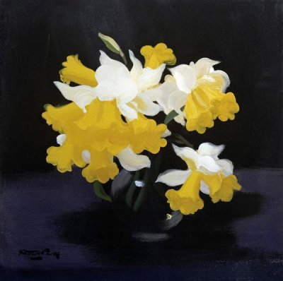 James Stuart Park - Daffodils