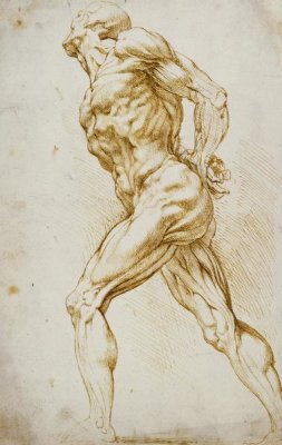 Peter Paul Reubens - Anatomical Study: Nude Male
