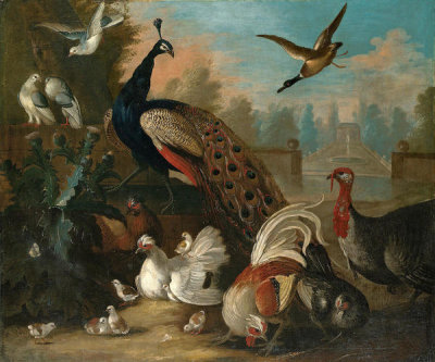 Marmaduke Cradock - A Peacock and Other Birds