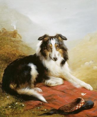 Edwin Douglas - A Collie, The Guardian of The Flock