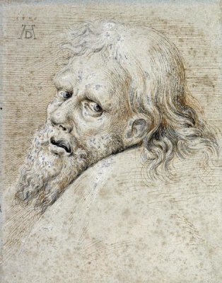 Albrecht Durer - The Head of a Bearded Man