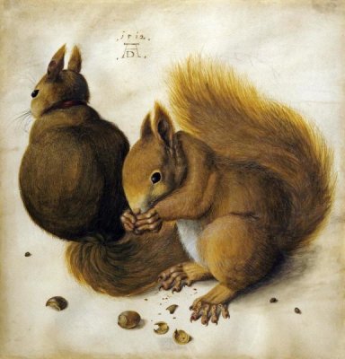 Two Squirrels, One Eating a Hazelnut