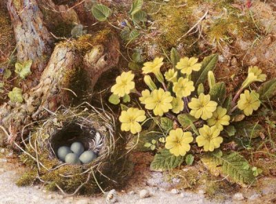 William B. Hough - Still Life With a Bird's Nest