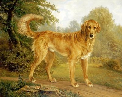 Niels Aagaard Lytzen - A Golden Retriever On a Path