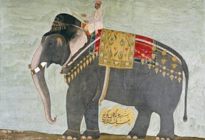 Mughal - Portrait of The Elephant 'Alam-Guman Gajraj'