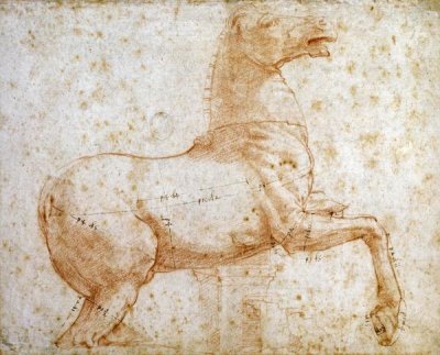 Study of One of The Quirinal Marble Horses
