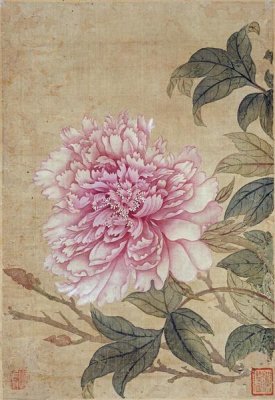 Yun Shouping - Peony