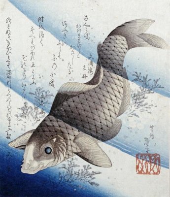 Katsushika Taito II - Carp Among Aquatic Leaves