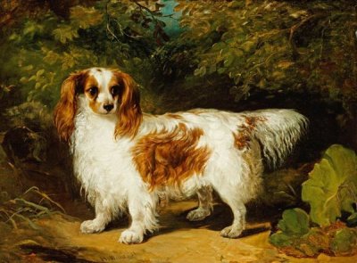 H. Willis - A Blenheim Cavalier King Charles Spaniel