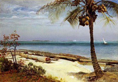 Albert Bierstadt - Tropical Coast