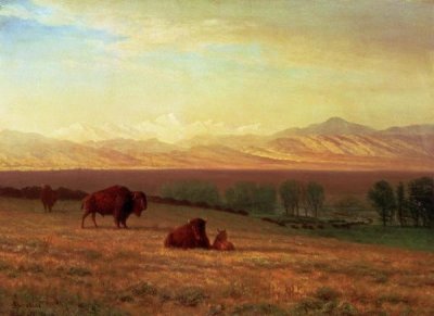 Albert Bierstadt - Buffalo on The Plains
