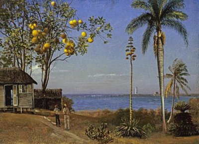 Albert Bierstadt - Tropical Scene