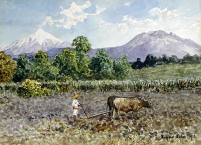 Augusto Lohr - Campesino Arando