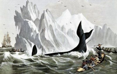 Currier and Ives - Capturing The Whale