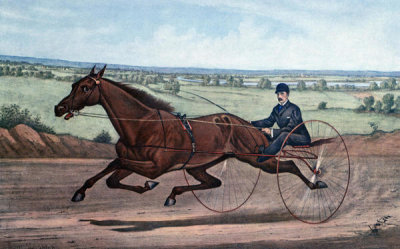 Currier and Ives - Queen of The Turf Maud S., Driven By W.W. Bair