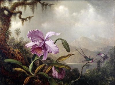 Martin Johnson Heade - Hummingbirds and Orchids