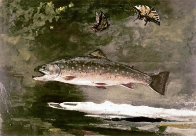 Winslow Homer - Trout