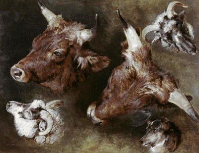 Sir Edwin Landseer - Heads of Sheep & Cattle