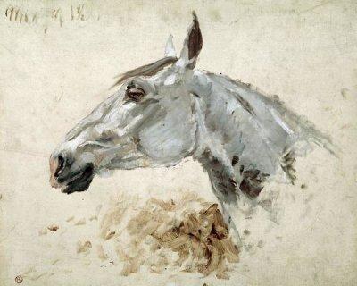 Henri Toulouse-Lautrec - Testo Di Cavallo