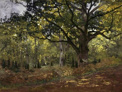 Claude Monet - Bodmer Oak, Fontainebleau Forest, 1865