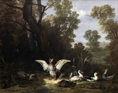 Jean-Baptiste Oudry - Ducks