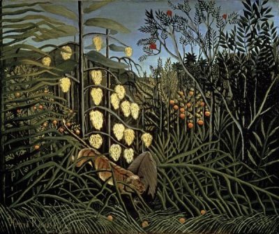 Henri Rousseau - Tropical Forest: Battling Tiger & Bull