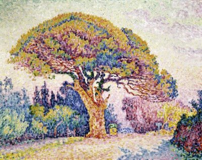 Paul Signac - Pine Tree In St. Tropez