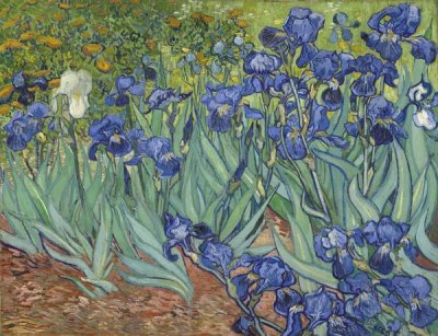 Vincent Van Gogh - Irises, 1889