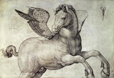 Jacopo de Barbari - Pegasus