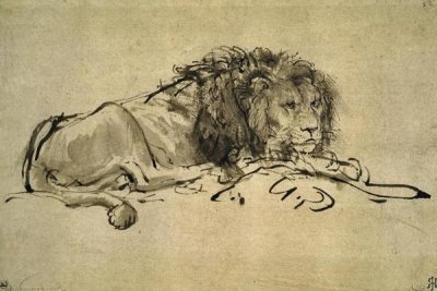 Rembrandt Van Rijn - Lion