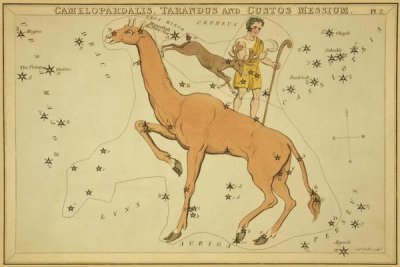 Jehoshaphat Aspin - Camelopardalis, Tarandus and Custos Messium, 1825