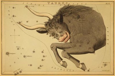 Jehoshaphat Aspin - Taurus the Bull, 1825
