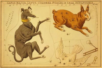 Jehoshaphat Aspin - Canis Major, Lepus, Columba Noachi & Cela Sculptoris, 1825