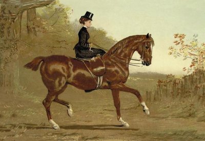 Samuel Sidney - Book of the Horse, 1900